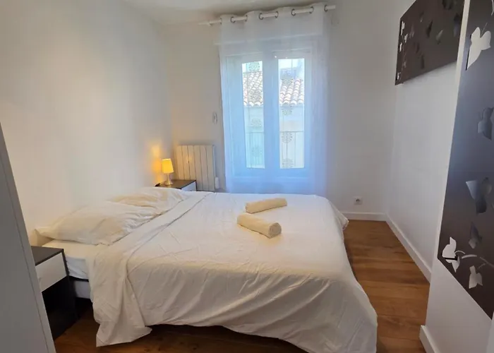 Appartement De Luxe à 100m Des Arènes *