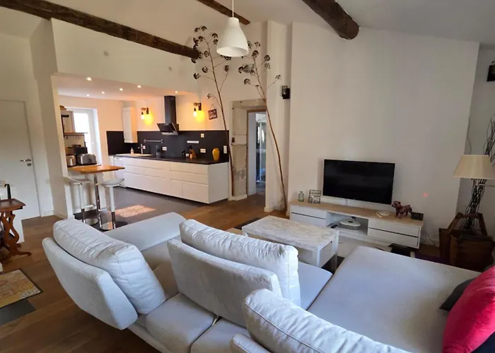 De Luxe à 100m Des Arènes